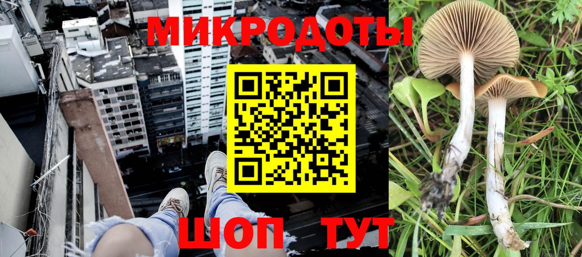 Галлюциногенные грибы Psilocybe Гагарин