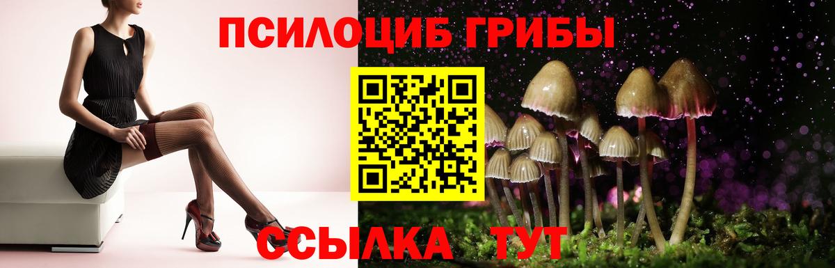 Гагарин  Галлюциногенные грибы мицелий  Вход с VPN 
